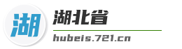 湖北省麦克技术